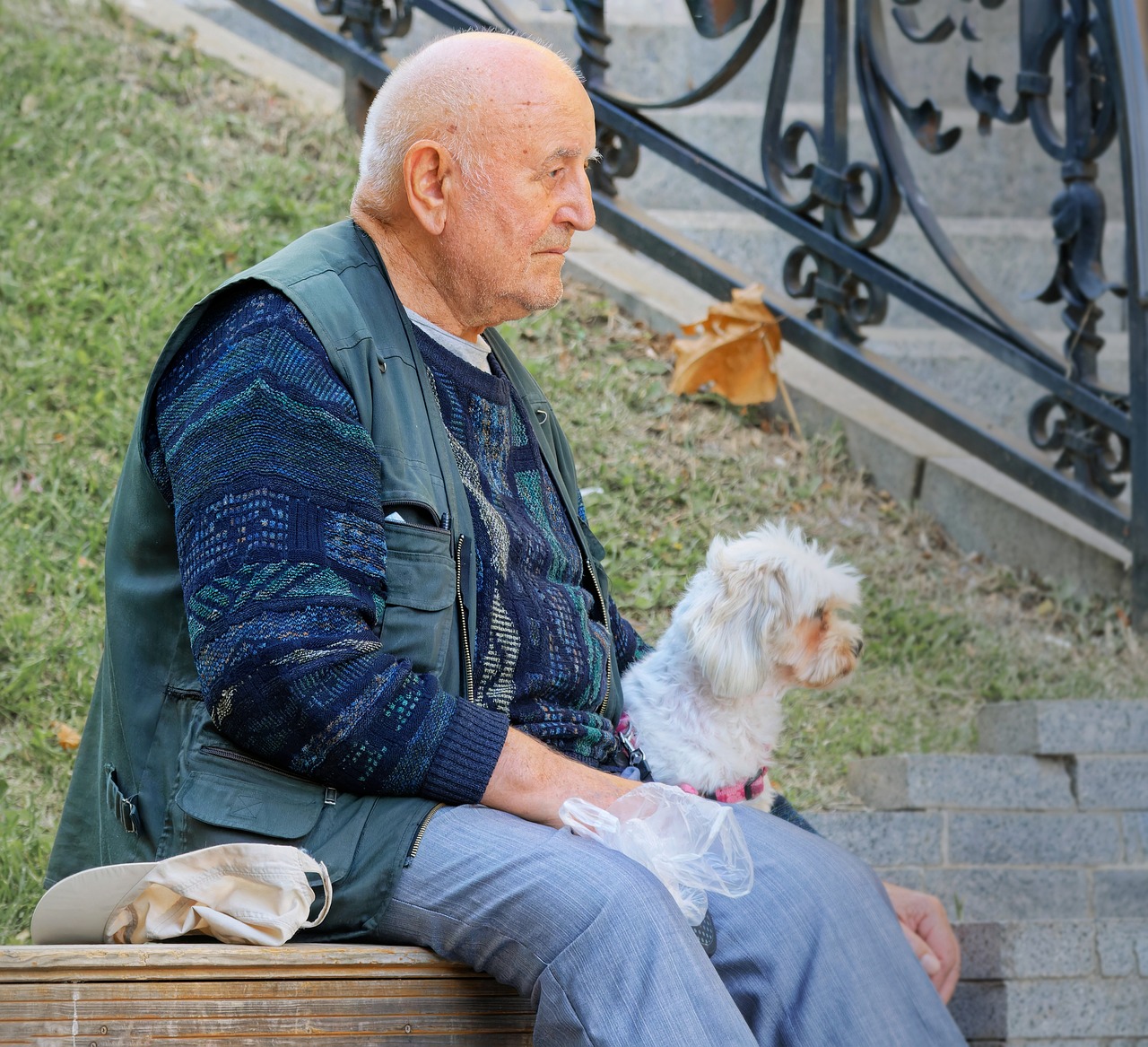 elderly man, dog, pet-7482011.jpg